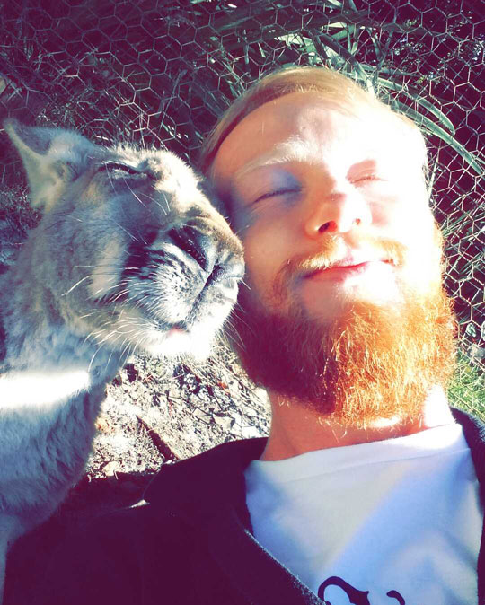 A Kangaroo Selfie