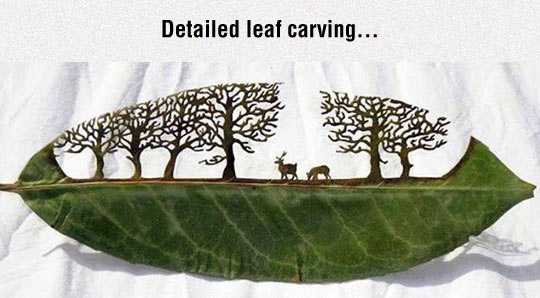 Incredible Art On A Leaf