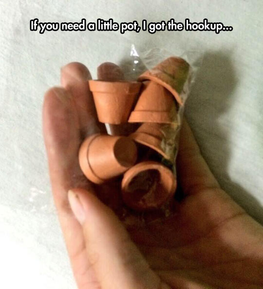If You Need A Little Pot