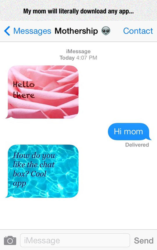 funny-mom-message-chat-box