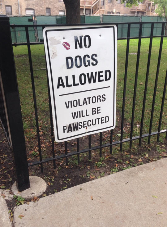 No Dogs Allowed Here