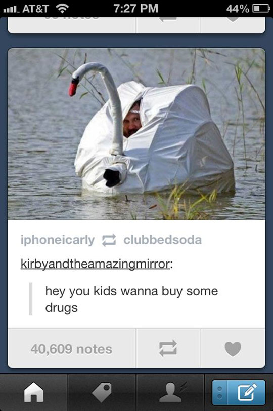 funny-photographer-hidden-swan-costume