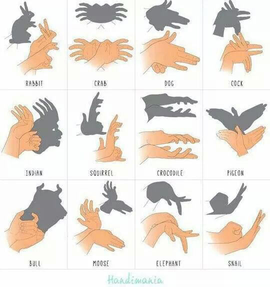 funny-shadow-puppet-hands-illustration