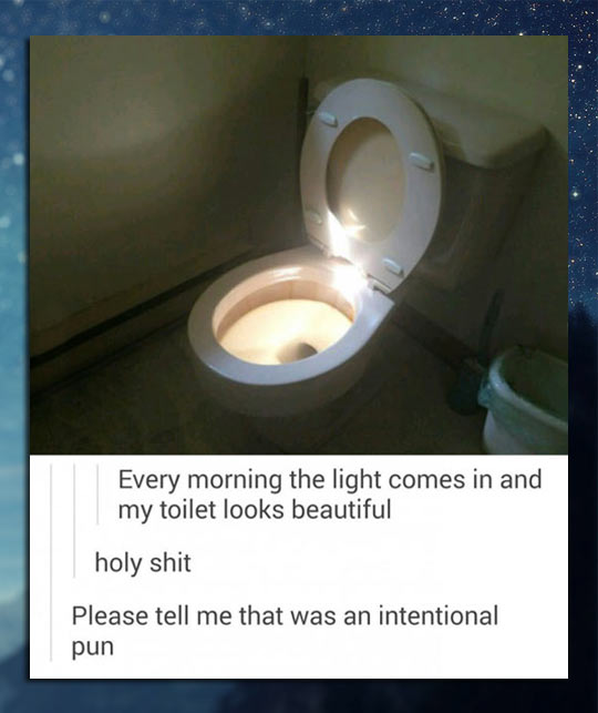 The Holy Toilet