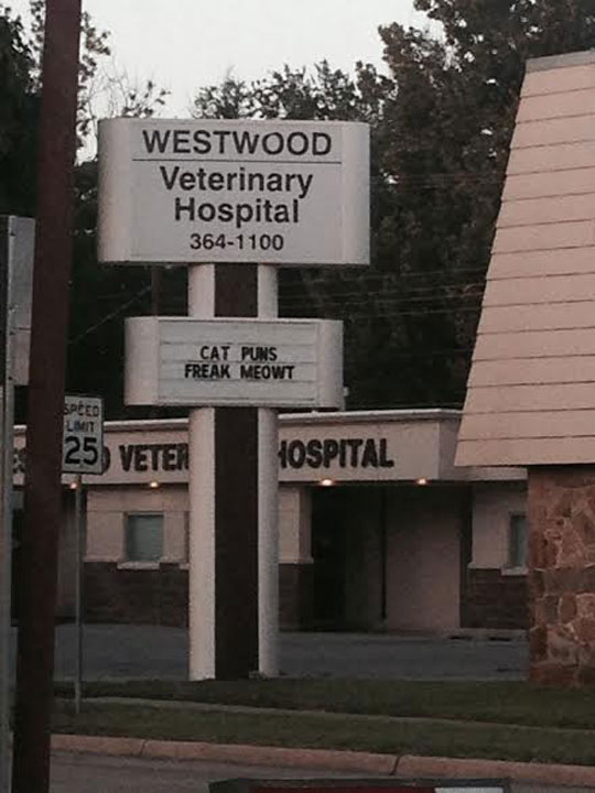 funny-vet-hospital-sign-joke