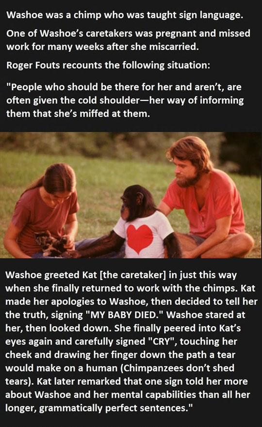 An Amazing Story
