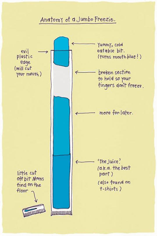 funny-Jumbo-Freezie-anatomy-juice