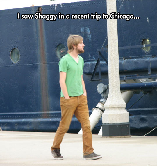 funny-Shaggy-walking-around-Chicago