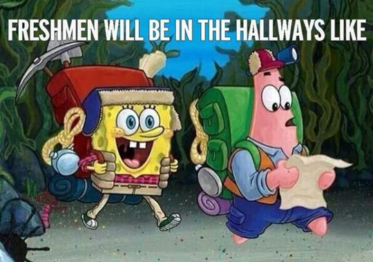 funny-SpongeBob-Patrick-freshmen