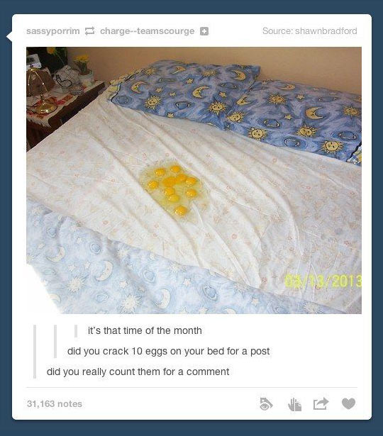 funny-Tumblr-eggs-bed-comments