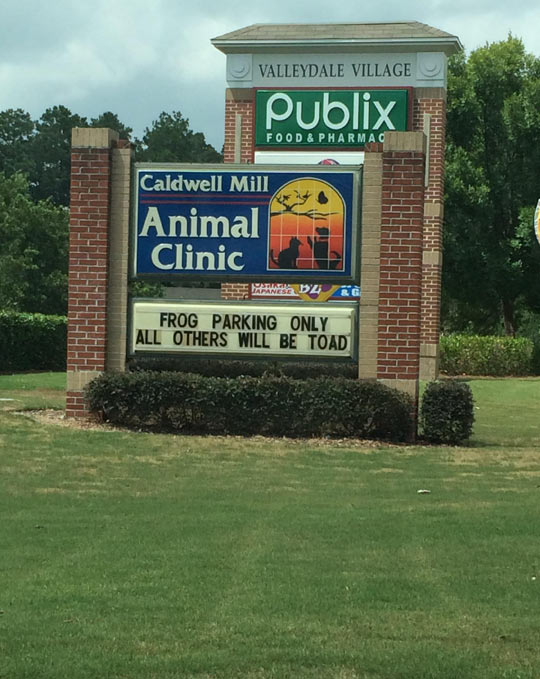 Animal Clinic Humor