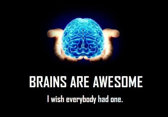 funny-brains-awesome-everybody