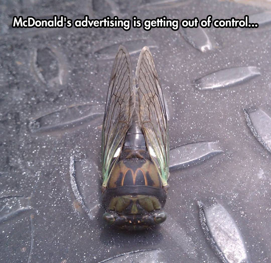 funny-bug-McDonald-advertising-everywhere