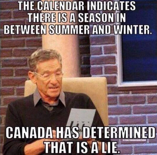 Canadians Will Agree On This