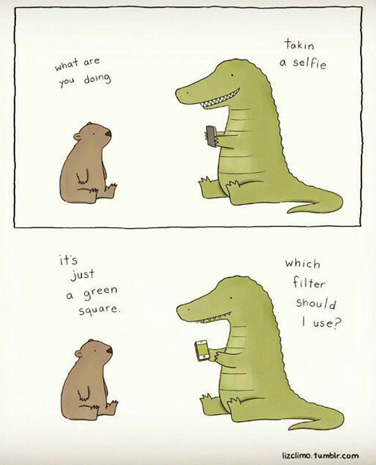 When Crocodiles Take Selfies