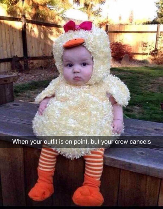 funny-chicken-disguised-baby-cute