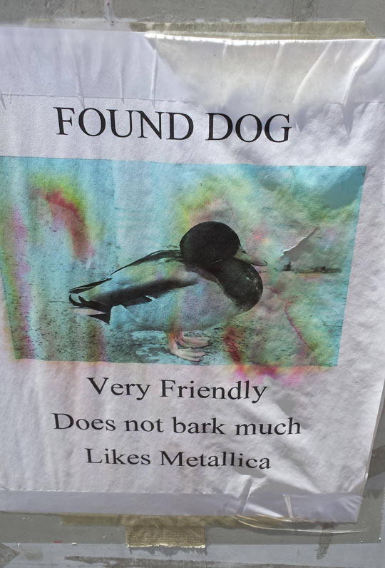 funny-dog-lost-duck-sign