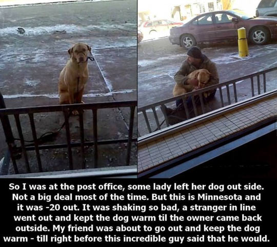 funny-dog-office-cold-good-guy