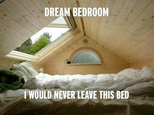 I Would Stay There Forever
