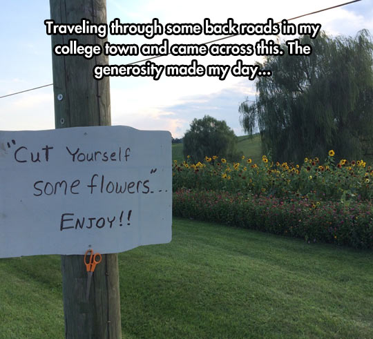funny-flower-park-sign-scissor