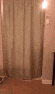 funny-gif-cat-jump-falling