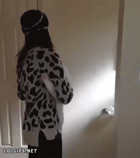 funny-gif-cat-walking-wall