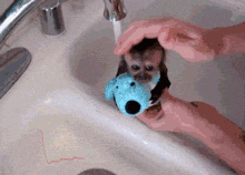 Bath Time For Monkey