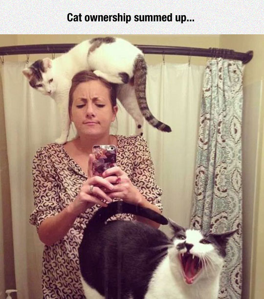 funny-girl-selfie-cat-head
