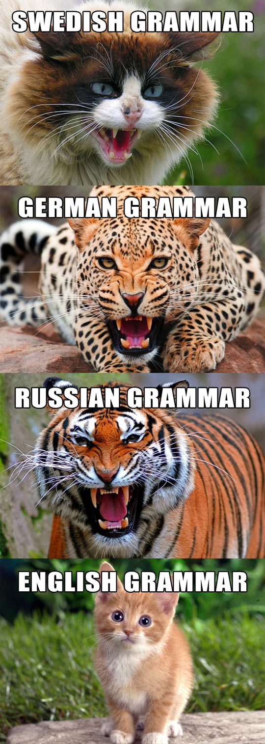 Different Types Of Grammar