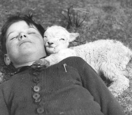 Kid With Baby Goat, Circa 1940