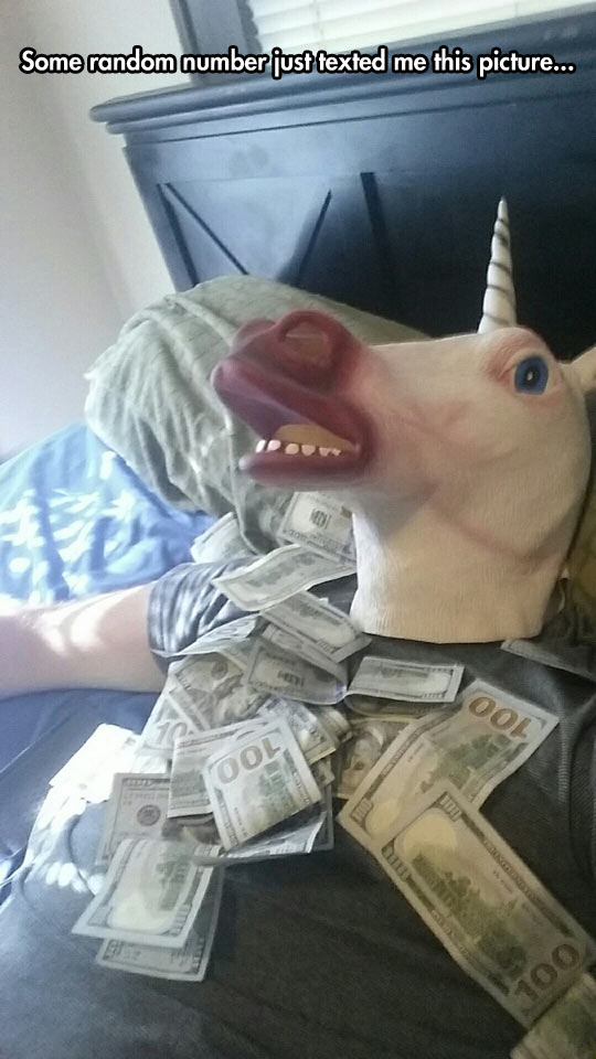 funny-man-bed-horse-mask-dollars