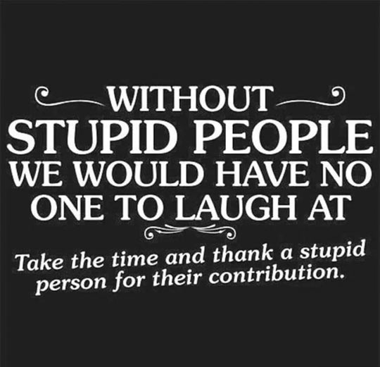 Thank You, Dumb People