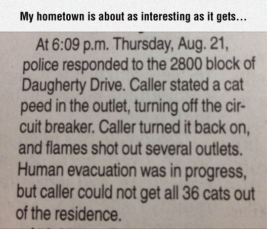 Cats Can Be Dangerous