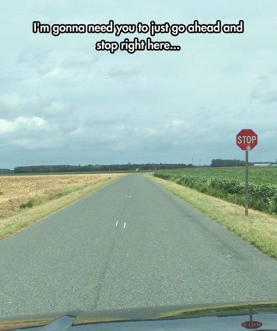funny-road-stop-sign-alone