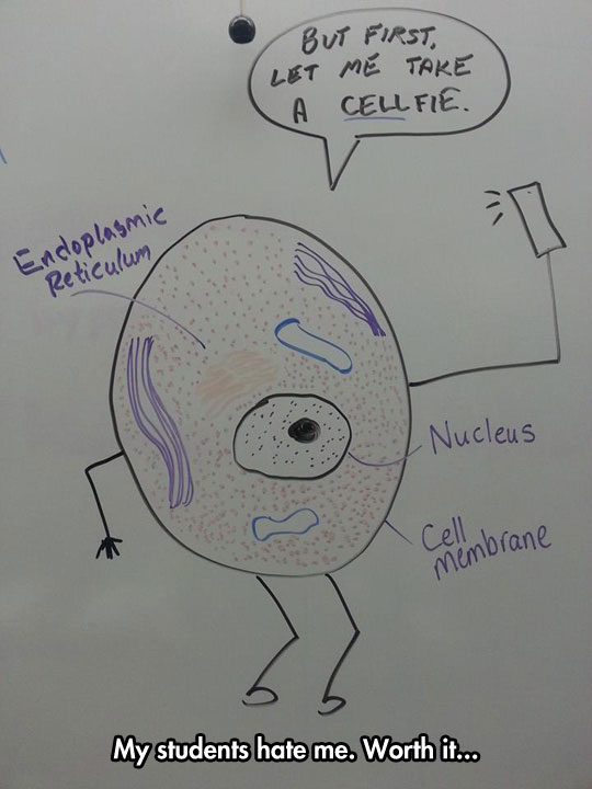 Biology Teacher Humor