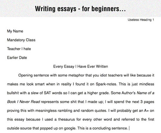 Essay writer funny