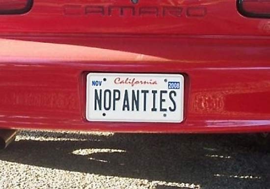no-panties-funny-license-plates