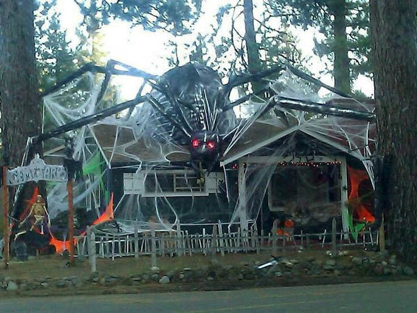 Giant Spider Decorations For Halloween