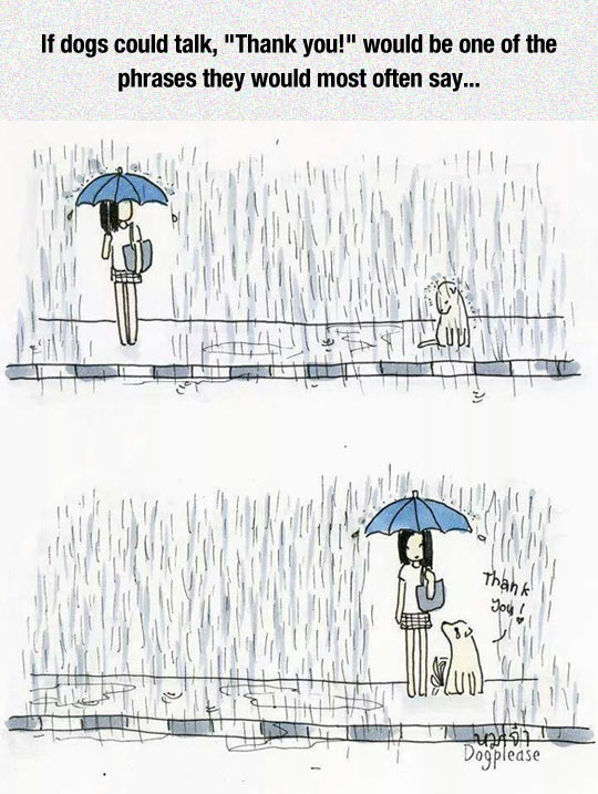 cool-cartoon-raining-girl-dog-wet