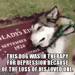 cool-gif-dog-depression-tombstone-cemetery