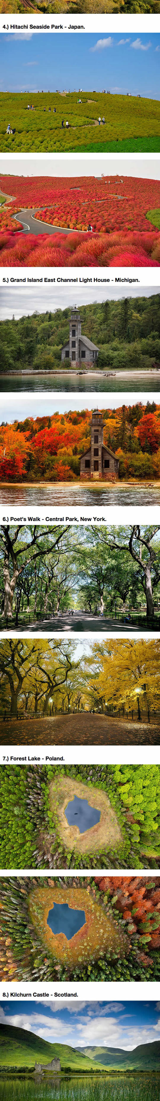funny-Fall-season-forest-lakes-New-York