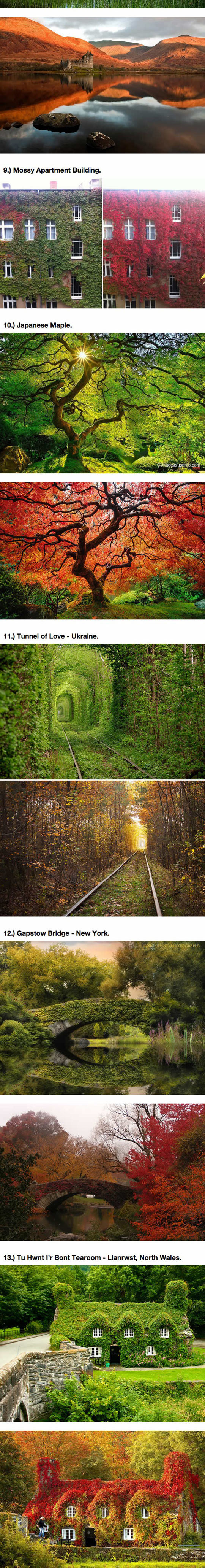 funny-Fall-season-forest-lakes-Ukraine