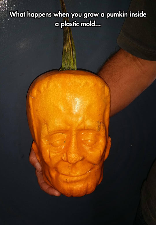 funny-Halloween-pumpkin-Frankenstein-plastic-mold