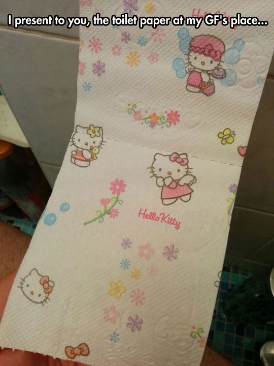 funny-Hello-Kitty-toilet-paper