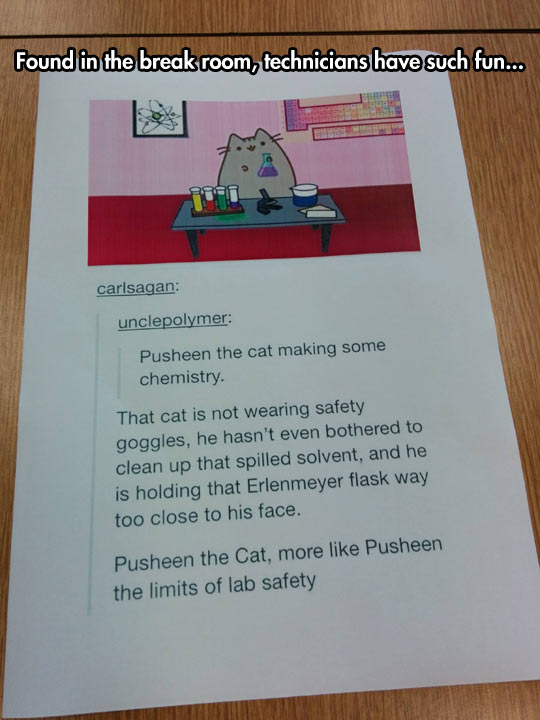 Pusheen The Cat Doing Some Chemistry