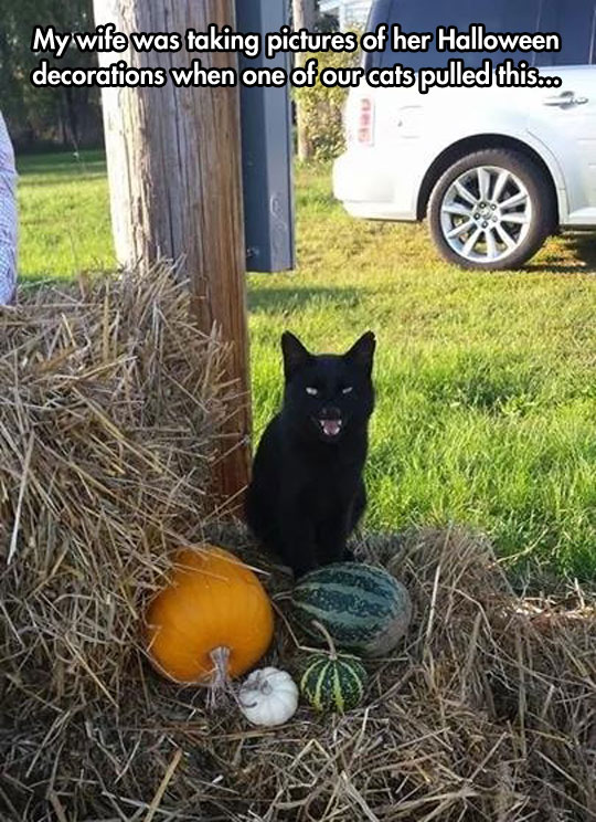 Is That You, Salem?