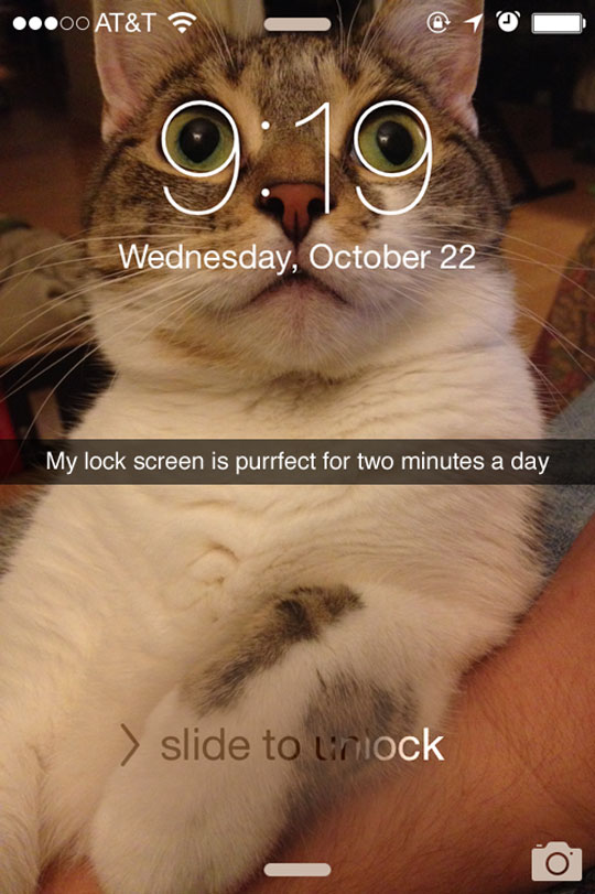 Cat Clock Eyes