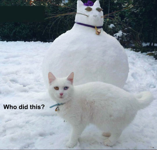 funny-cat-fat-snow-sculpture