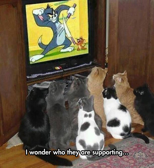 These Guys Love Tom And Jerry
