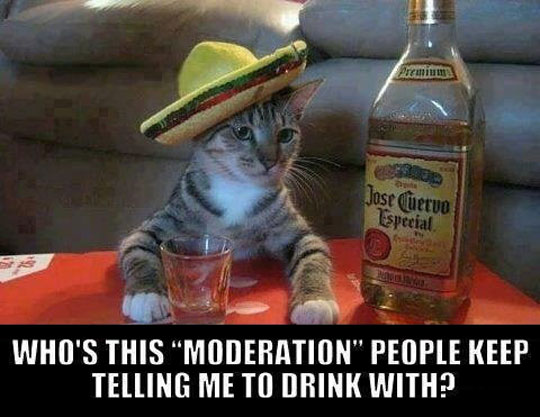 Remember To Drink With Moderation